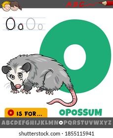 Pädagogische Cartoon-Illustration des Buchstabens O aus dem Alphabet mit Opossum-Tier für Kinder 