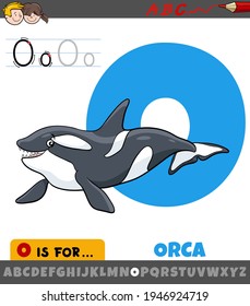 Educational cartoon illustration of letter O from alphabet with orca animal character for children 