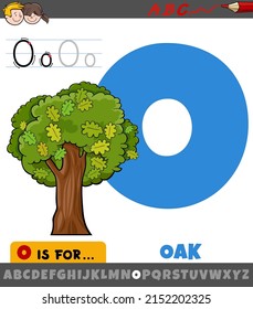 Educational cartoon illustration of letter O from alphabet with oak tree