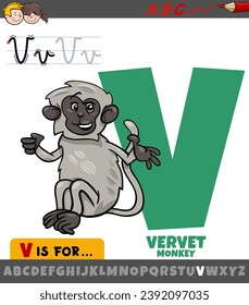 Educational cartoon illustration of letter V from alphabet with vervet monkey animal character