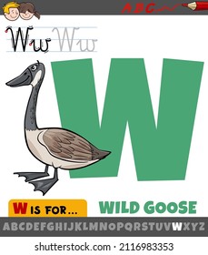 Educational cartoon illustration of letter W from alphabet with wild goose bird animal character