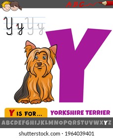Educational cartoon illustration of letter Y from alphabet with Yorkshire Terrier dog animal character