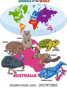 Educational cartoon illustration of typical Australian animal species and world map with continents