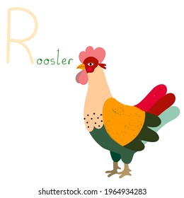 Educational Cartoon Vector Illustration Hand drawn English letter R. Alphabet with rooster. Animal Character for children design.