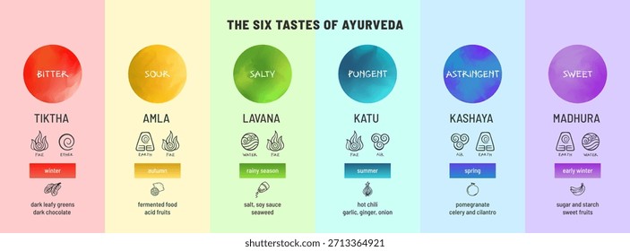 Lehrplan mit den sechs Geschmacksrichtungen Ayurveda - süß, sauer, salzig, scharf, bitter und adstringierend. Vektorgrafik mit Lebensmittelsymbolen, Elementen und Jahreszeiten auf Regenbogenhintergrund.