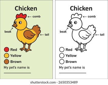 An educational chicken anatomy diagram featuring both a colored version and a black and white outline for coloring. Great for kids learning about chickens.