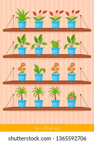 Educational children game, vector. Logic game for kids. Find differences.