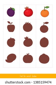 Educational children game, vector. Logic game for kids. Find the correct shadow