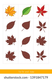 Educational children game, vector. Logic game for kids. Find the correct shadow 