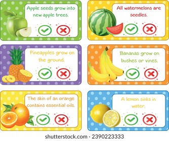 Educational children's game. Right or false? Fruits theme fun page for kids and toddlers. Material: learning cards for fruit teaching. Logical flashcards