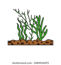 Educational clip art for kids. seaweed, coral plants . Hand drawn. vector illustration cartoon style
