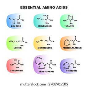Conjunto educativo colorido de ilustraciones: 9 aminoácidos esenciales con estructuras y funciones moleculares. ideal para la ciencia, la nutrición, la biología y la salud enfocados en la síntesis de proteínas y el metabolismo.