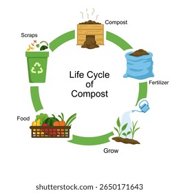 Educational compost life cycle illustration showing food scraps turning into compost, fertilizer, and growing new plants. Ideal for eco-learning, farming, and sustainability topics.