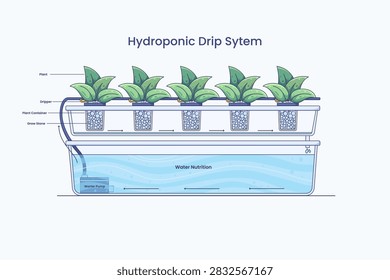 educational diagram of a hydroponic drip system featuring a water pump delivering nutrient solution through drippers to plants in grow stone containers.