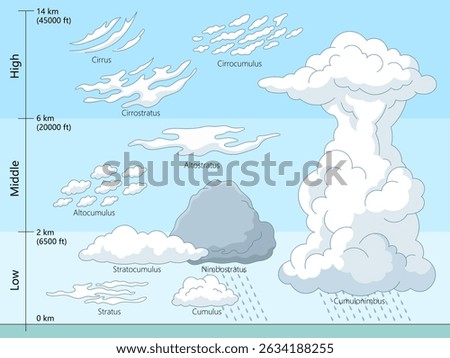 Educational diagram showing different cloud types categorized by low, middle, and high altitudes, including stratus, cumulus, cirrus, and cumulonimbus hand drawn schematic vector illustration. 