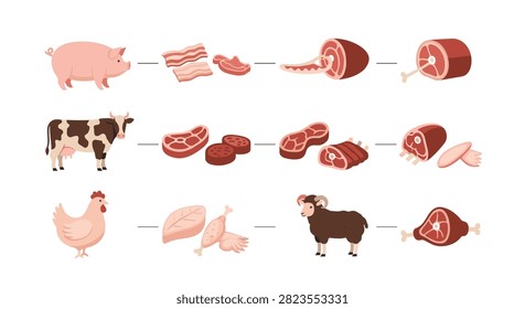 Educational diagram showing various animals like pig, cow, chicken, and sheep alongside their corresponding meat cuts and steaks.