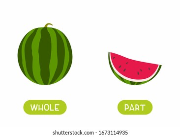 Educational english memo card with antonyms flat vector template. Kids cards for foreign language learning concept. Opposites, whole, part words. Cartoon watermelon illustration with typography