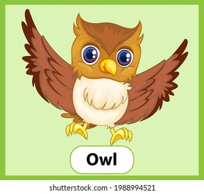 Educational English Word Card Of Owl Illustration