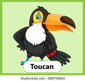 Educational English Word Card Of Toucan Illustration