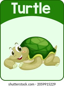 Educational English Word Card Of Turtle Illustration