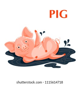 Educational flashcard pig sporting in a mud puddle