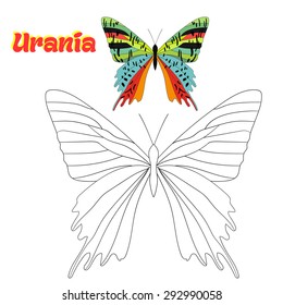Educational game for children coloring book  butterfly vector illustration
