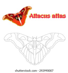 Educational game for children connect the dots to draw butterfly vector illustration