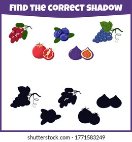 Educational game for children. Find the correct shadow. Fresh and summer fruits. Mini-game for children.