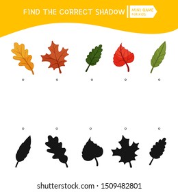 Educational  game for children. Find the right shadow. Kids activity with cartoon forest leaves.