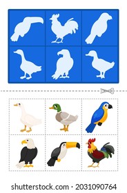 Educational  game for children. Find the right shadow. Cute cartoon birds.