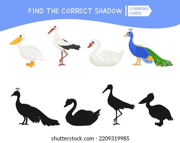 Educational  game for children. Find the right shadow. Kids activity with cute cartoon birds.