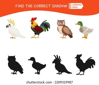 Educational  game for children. Find the right shadow. Kids activity with cute cartoon birds.