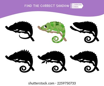 Educational  game for children. Find the right shadow. Kids activity with cartoon cute chameleon.