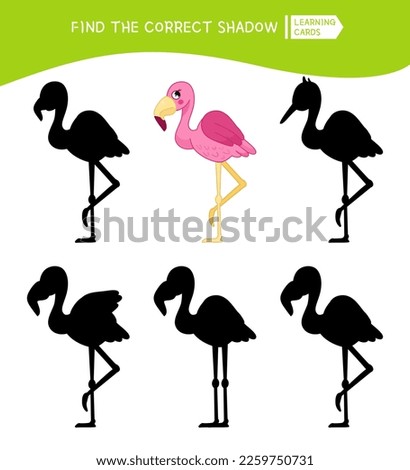 Educational  game for children. Find the right shadow. Kids activity with cartoon cute flamingos.