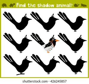 Educational game for children of kindergarten and school age on the development of logic. Forty wild bird. Vector illustration