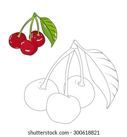 Educational game coloring book cherry fruit  vector illustration