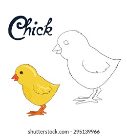 Educational game coloring book chick bird  vector illustration