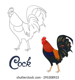 Educational game coloring book cock rooster bird  vector illustration