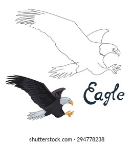 Educational Game Coloring Book Eagle Bird  Vector Illustration