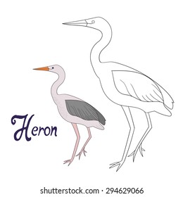 Educational game coloring book heron bird  vector illustration
