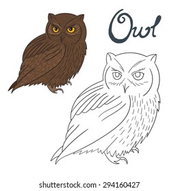 Educational game coloring book owl bird  vector illustration