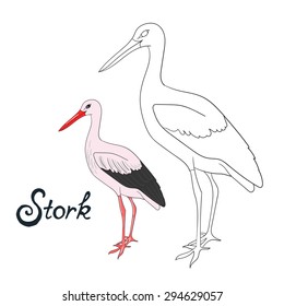 Educational game coloring book stork bird  vector illustration