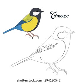 Educational game coloring book titmouse bird  vector illustration