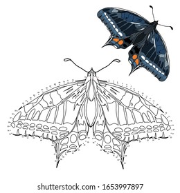 Educational game and coloring for children. Connect the dots on the figures. Insect. Butterfly. Hand drawn. Black and white vector illustration with a pattern for coloring.