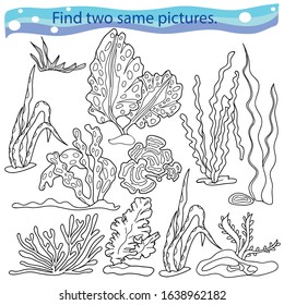 Educational game and coloring for children. Find two same pictures. Seaweed set. Hand drawn. Black and white vector illustration.
