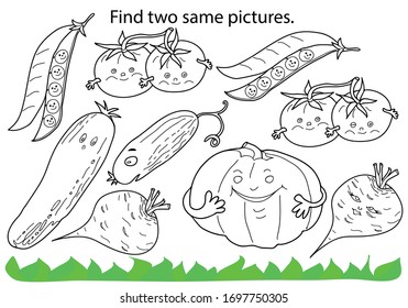 Educational game and coloring for children. Find two same pictures. Set of vegetables. Pumpkin, tomato, cucumber, beetroot, green peas. Hand drawn. Black and white vector illustration.