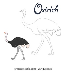 Educational game connect the dots to draw ostrich bird  vector illustration
