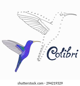 Educational game connect the dots to draw colibri bird  vector illustration