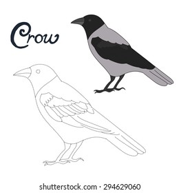 Educational game connect the dots to draw crow bird  vector illustration
