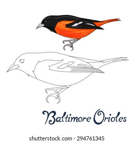 Educational game connect the dots to draw baltimore orioles bird  vector illustration